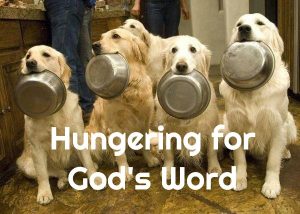 Read more about the article Hungering for God’s Word