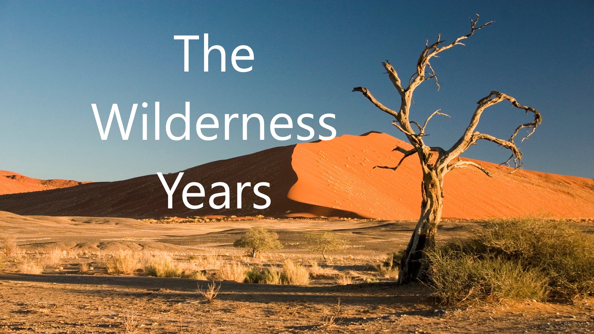 You are currently viewing The Wilderness Years-November 15th