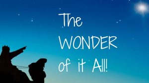 Read more about the article The WONDER of it All! – December 20th