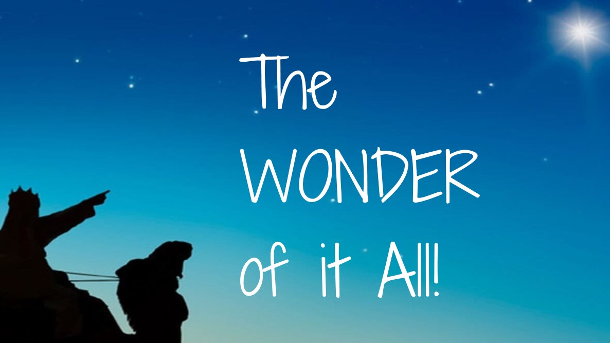 You are currently viewing The WONDER of it All! – December 20th