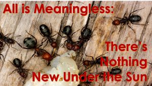 Read more about the article All is Meaningless: There’s Nothing New Under the Sun – May 23rd