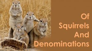 Read more about the article Squirrels and Denominations – June 6th