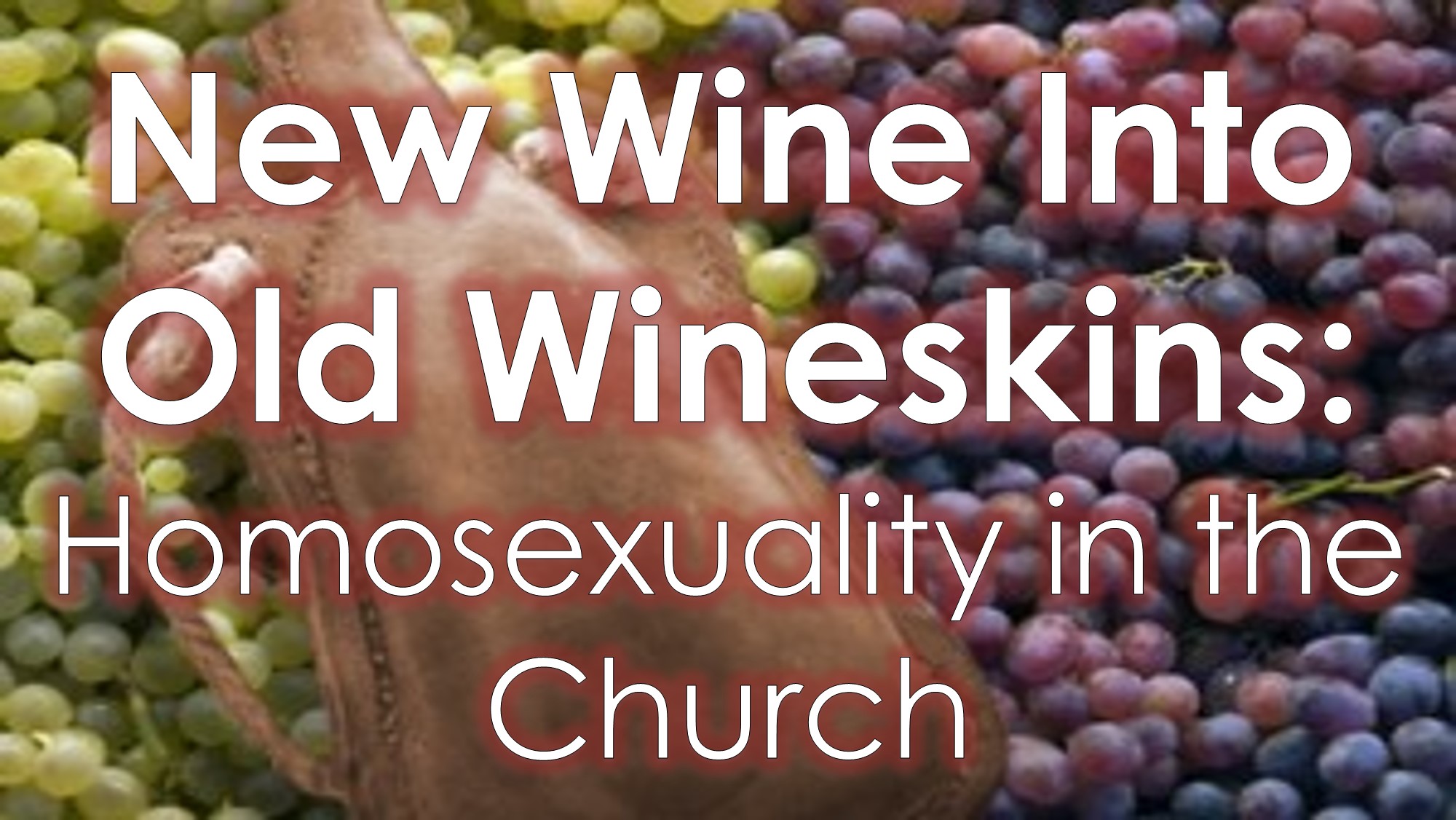 You are currently viewing New Wine Into Old Wineskins: Homosexuality in the Church – Feb. 20th