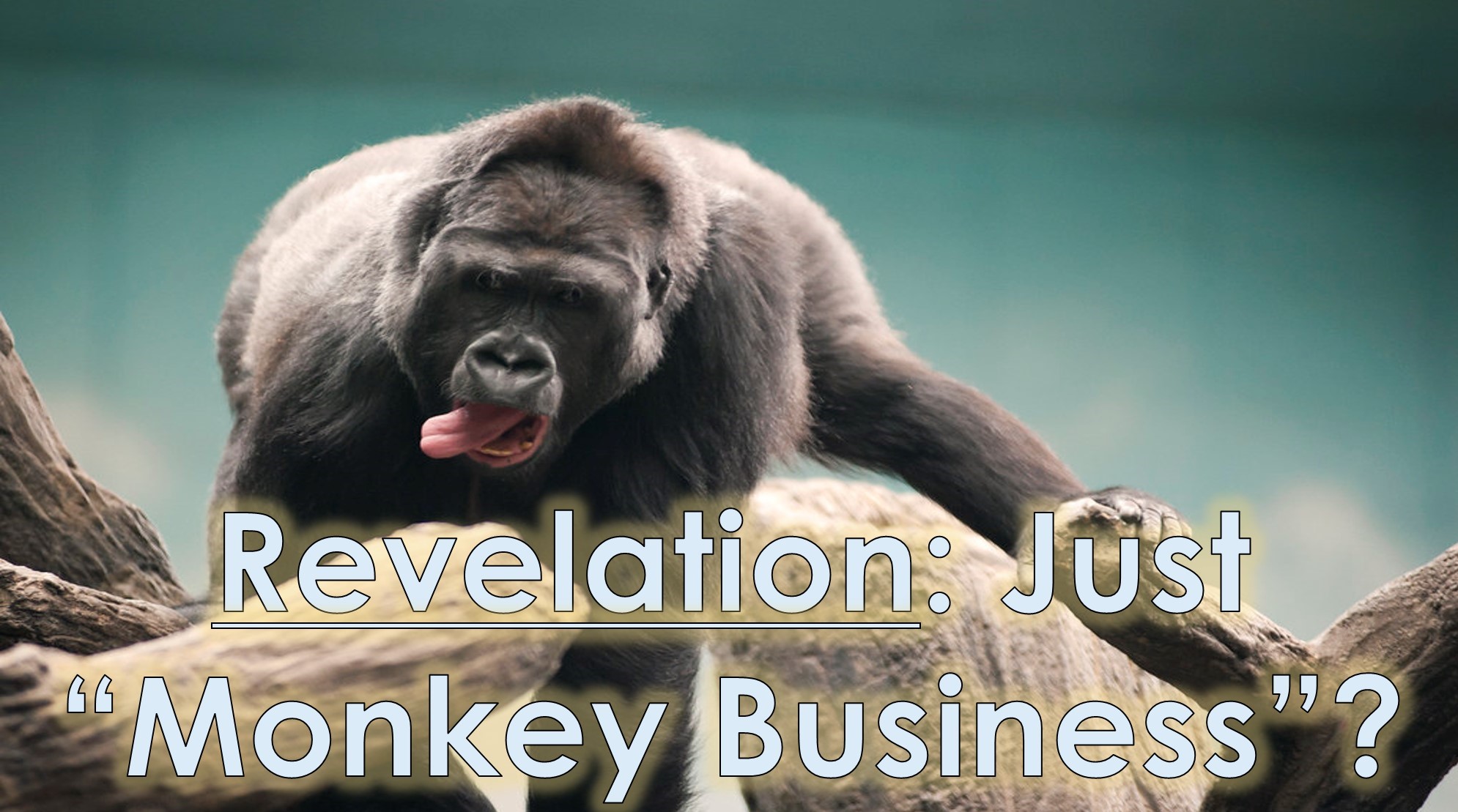 You are currently viewing Revelation: Just “Monkey Business”? – June 19th