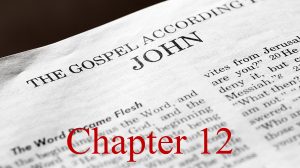 Read more about the article John Chapter 12 – December 11th