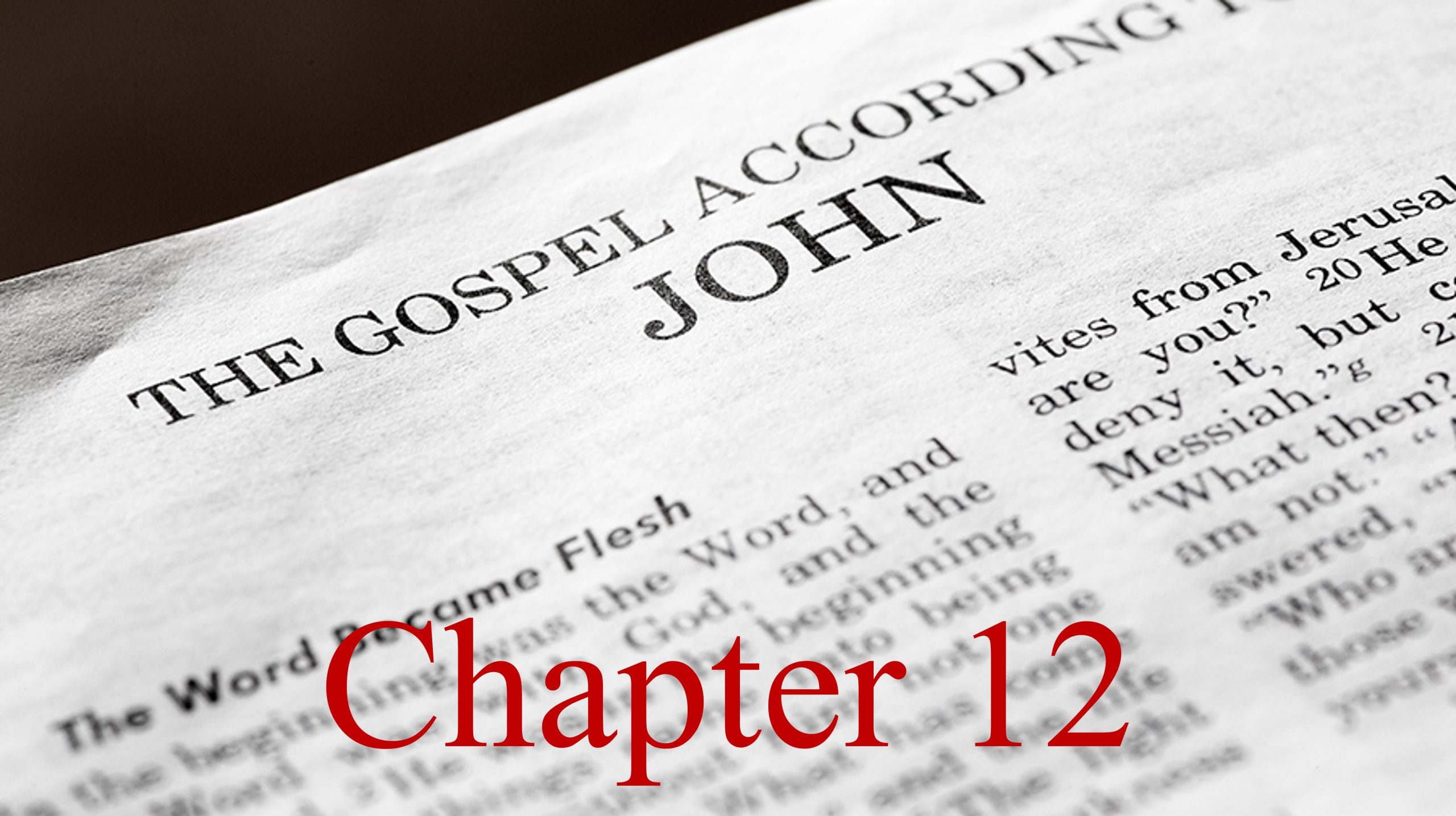 You are currently viewing John Chapter 12 – December 11th