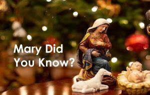 Read more about the article Mary Did You Know – December 18th