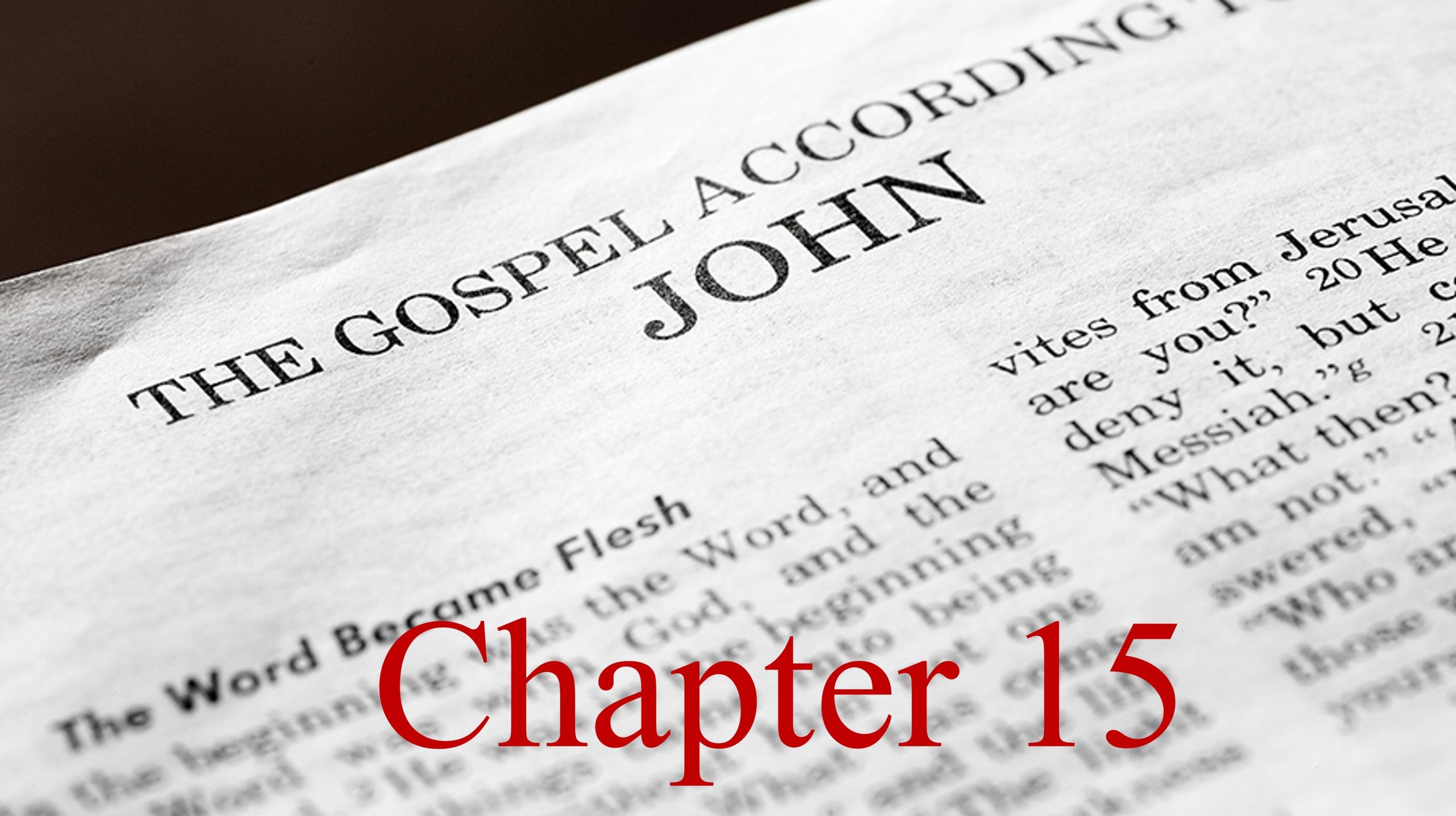 You are currently viewing Epiphanies Concluded in John 15 – January 15th