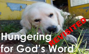 Read more about the article Hungering for God’s Word Revisited – June 11th