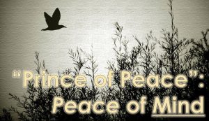 Read more about the article “Prince of Peace”: Peace of Mind – December 10th