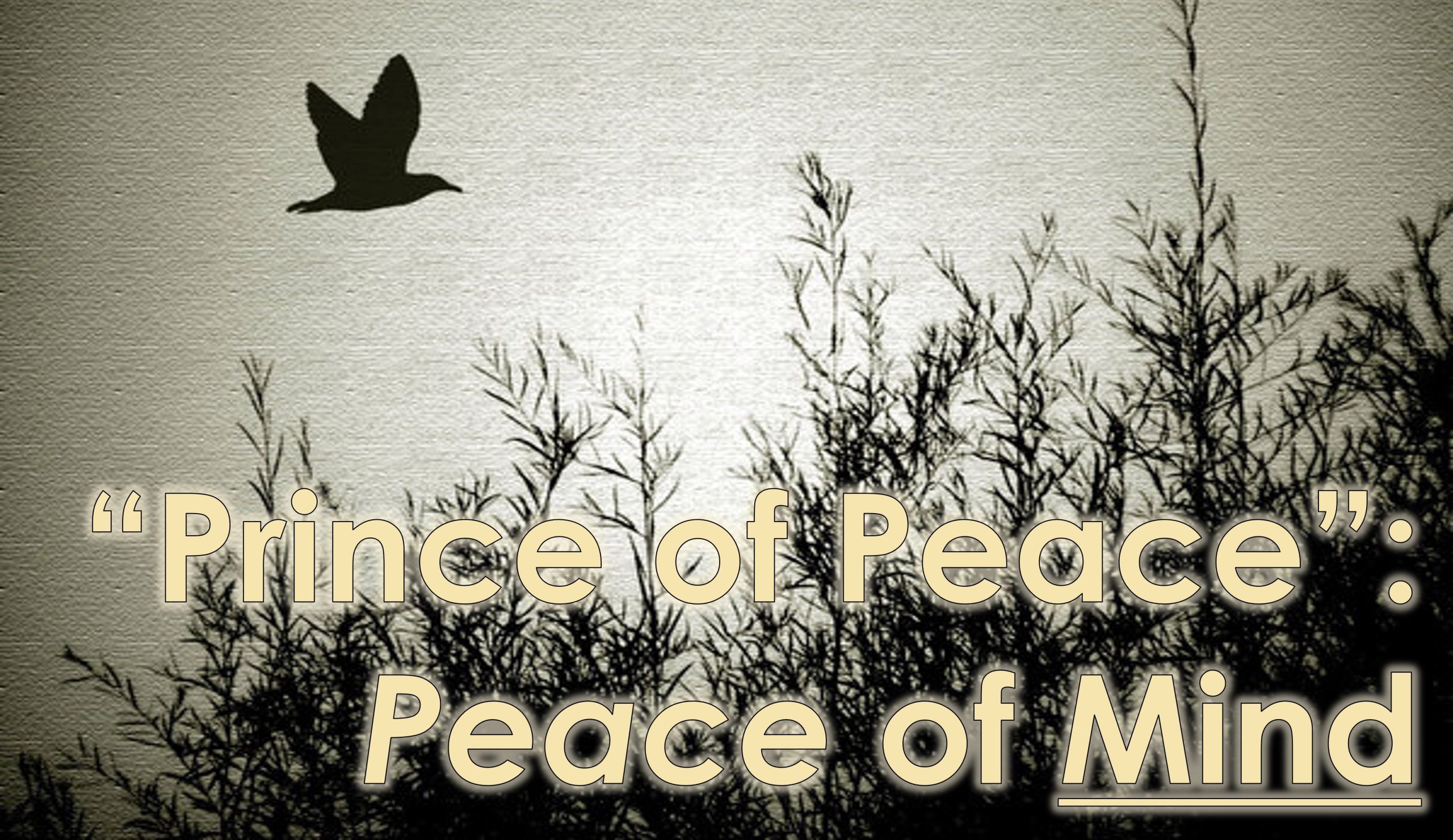 You are currently viewing “Prince of Peace”: Peace of Mind – December 10th
