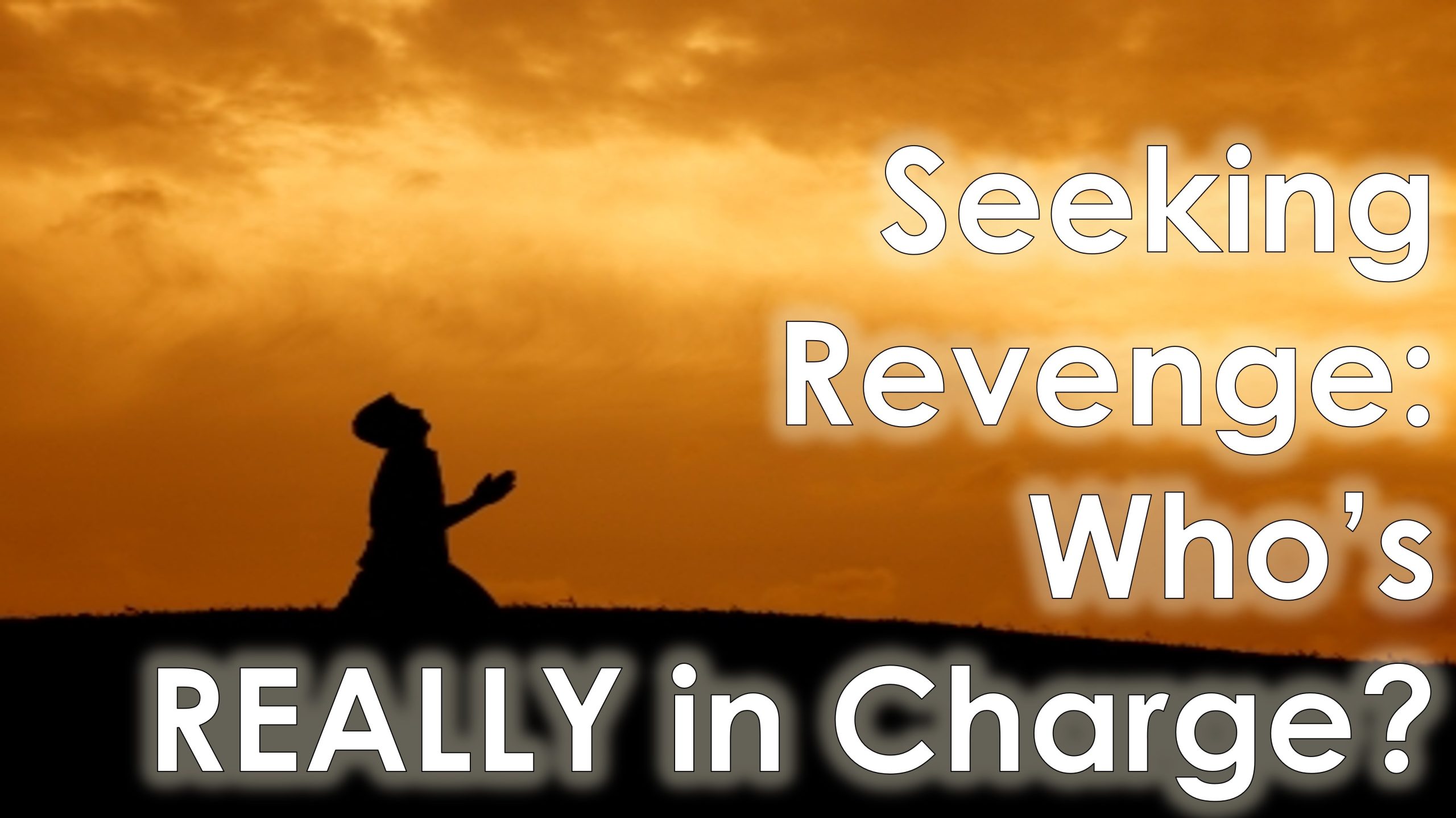 You are currently viewing Seeking Revenge: Who’s REALLY in Charge? – November 19th