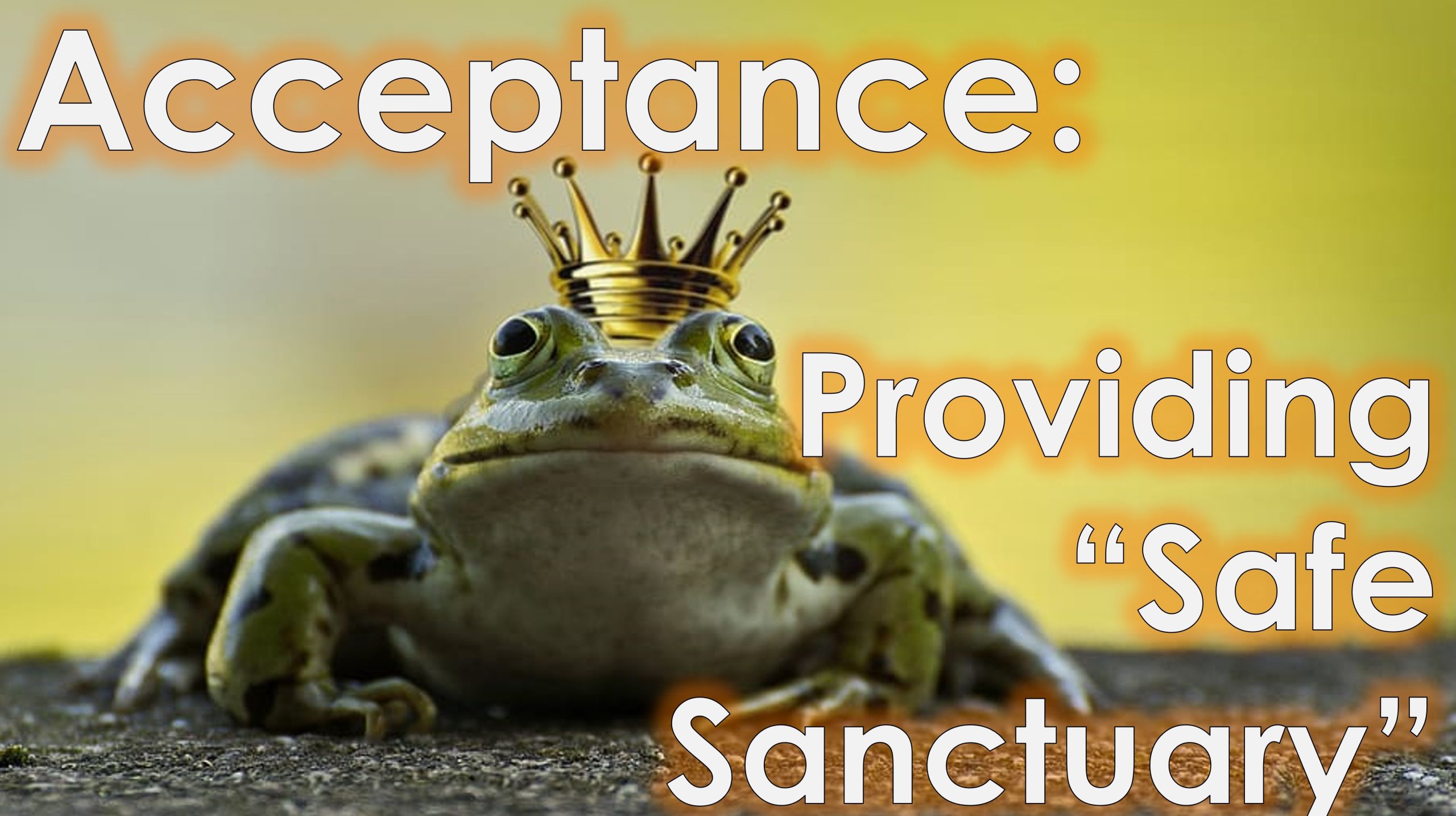 You are currently viewing Acceptance: Providing “Safe Sanctuary” – March 24th