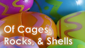 Read more about the article Of Cages, Rocks, & Shells – March 31st