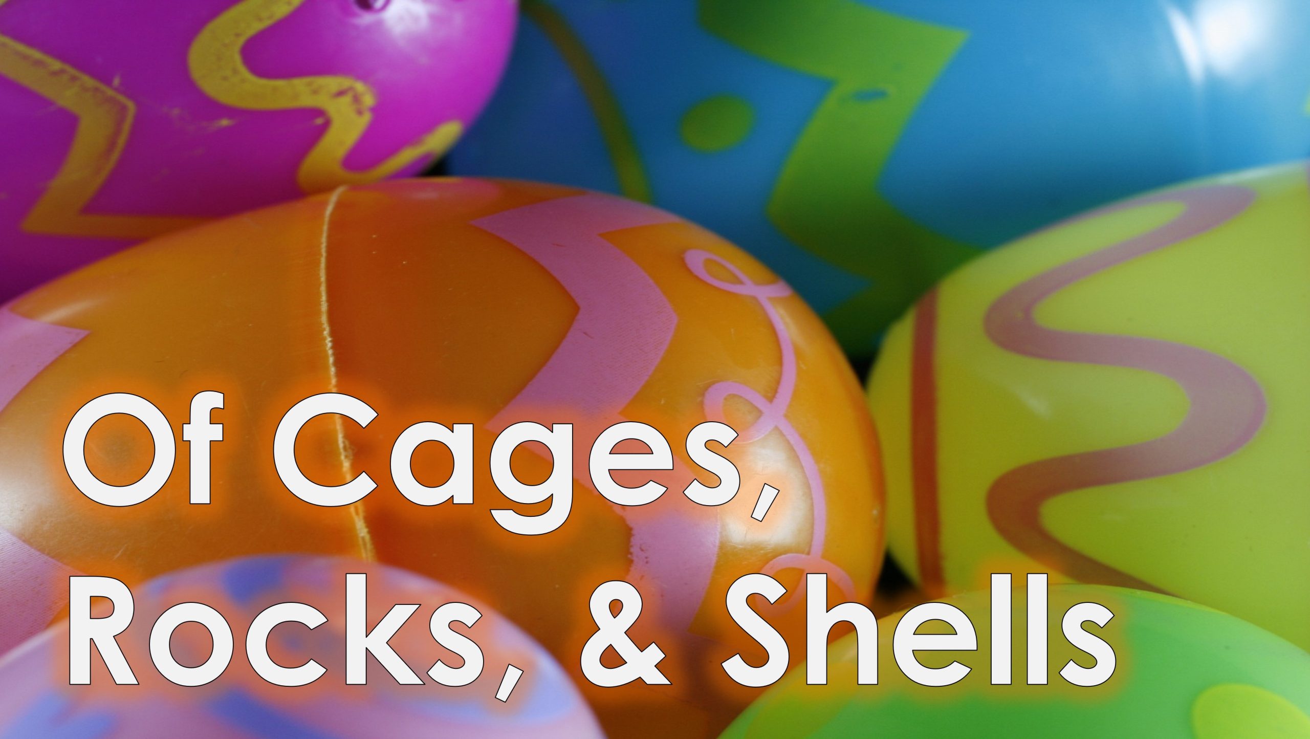 You are currently viewing Of Cages, Rocks, & Shells – March 31st