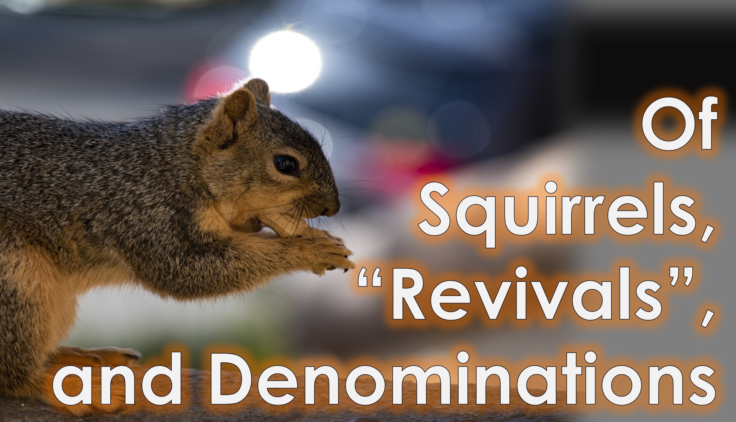 You are currently viewing Of Squirrels, “Revivals”, and Denominations – April 21st