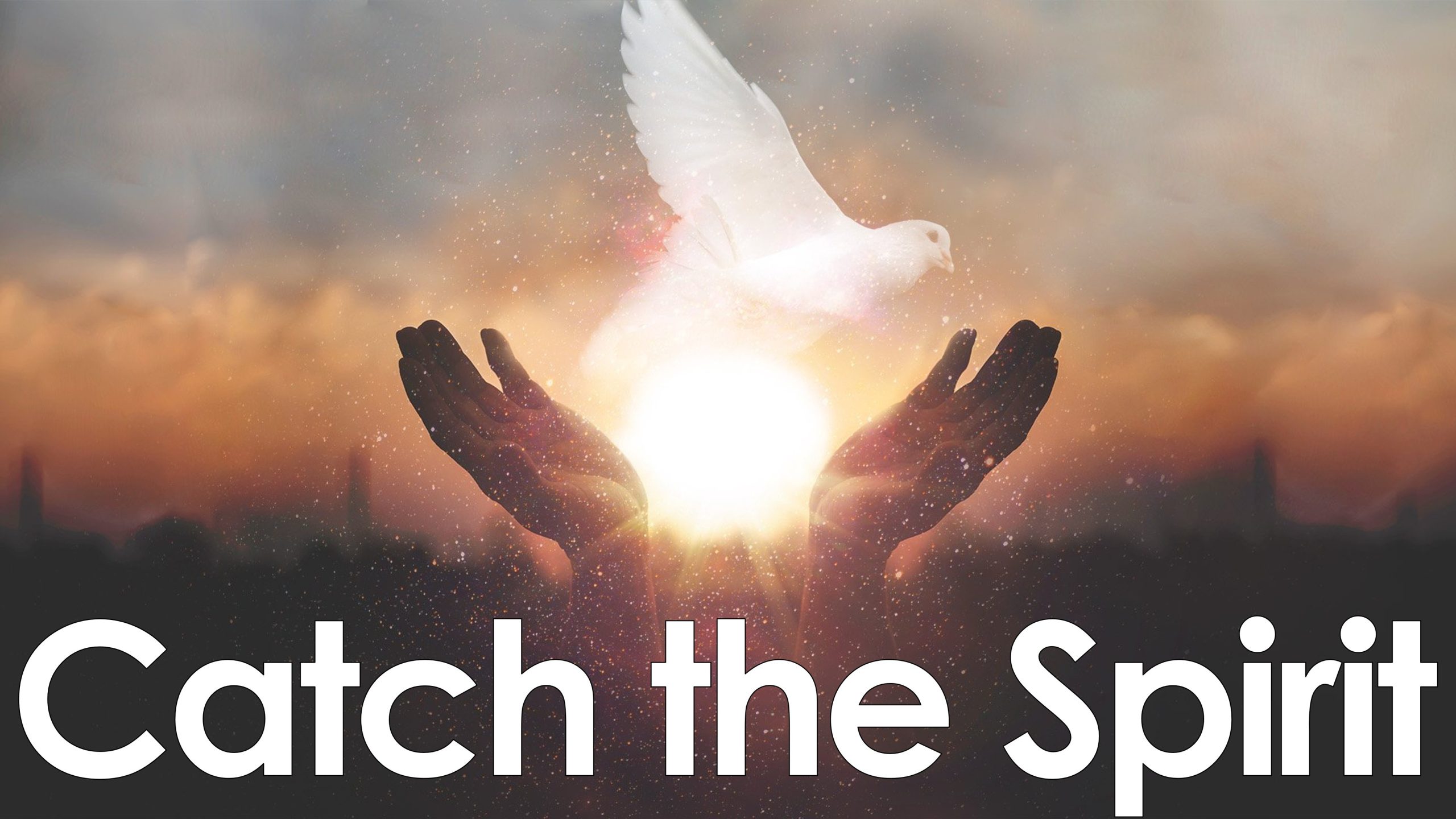 You are currently viewing Catch the Spirit – July 20th